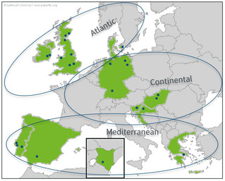 TRUE Regional Clusters