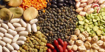 legumes secos www.agriportugal.com