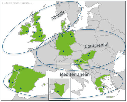 TRUE Regional Clusters